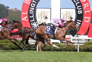 Golden Bracelet (NZ) dominated Saturday’s Group Two Wellington Guineas (1400m).